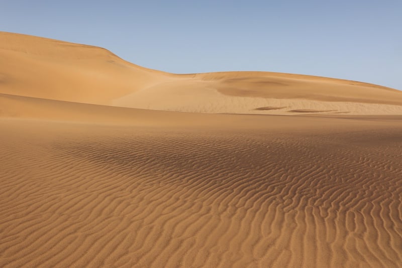 Desert Safari Image